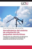 Ernesto Yoe Fariñas Wong, Ernesto Yoel Fariñas Wong, Sergio Jauregui Rigo - Aerodinámica del sistema de orientación de pequeñas aeroturbinas
