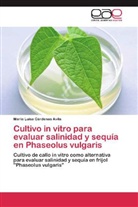 María Luisa Cárdenas Avila - Cultivo in vitro para evaluar salinidad y sequía en Phaseolus vulgaris