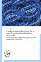 Nicolas Boyard, Boyard-n - Etude physico chimique de la