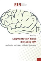 Nadjib Nasri, Nasri-n - Segmentation floue d images irm
