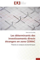 Steve Loris Gui-Diby, Gui-diby-s - Les determinants des