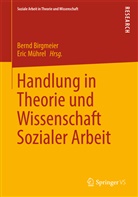 Bern Birgmeier, Bernd Birgmeier, Mührel, Mührel, Eric Mührel - Handlung in Theorie und Wissenschaft Sozialer Arbeit