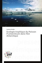 Carolina Giraldo, Giraldo-c - Ecologie trophique du poisson