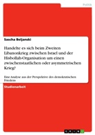 Sascha Beljanski - Handelte es sich beim Zweiten Libanonkrieg zwischen Israel und der Hisbollah-Organisation um einen zwischenstaatlichen oder asymmetrischen Krieg?