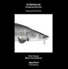 Martin Hochleithner, Pau Vecsei, Paul Vecsei - Störfische (Acipenseriformes)