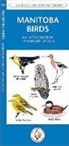 James Kavanagh, James/ Leung Kavanagh, KAVANAGH JAMES LEUNG RAYMOND I, Waterford Press, Raymond Leung - Manitoba Birds