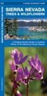 James Kavanagh, James/ Leung Kavanagh, KAVANAGH JAMES LEUNG RAYMOND I, Waterford Press, Waterford Press, Dr. Raymond Leung... - Sierra Nevada Trees & Wildflowers