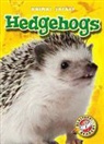 Kari Schuetz - Hedgehogs