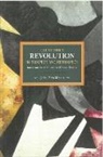 Eric John Marot, John Eric Marot - The October Revolution in Prospect and Retrospect