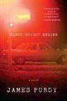 James Purdy, Purdy James - Cabot Wright Begins