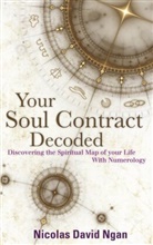 Nicholas David, Nicolas David, Nicolas David Ngan - Your Soul Contract Decoded