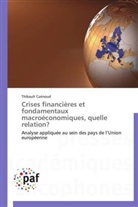 Thibault Cuénoud, Cuenoud-t - Crises financieres et