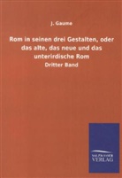 J Gaume, J. Gaume - Rom in seinen drei Gestalten, oder das alte, das neue und das unterirdische Rom. Bd.3