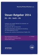 Claudia Boeddinghaus, Frank Henseler, Walter Niermann - Steuer-Ratgeber 2013