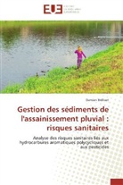 Damien Brélivet, Brelivet-d - Gestion des sediments de l