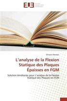Slimane Merdaci, Merdaci-s - L analyse de la flexion statique