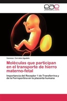 Vanessa Corrales Agudelo - Moléculas que participan en el transporte de hierro materno-fetal