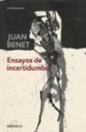 Juan Benet - Ensayos de incertidumbre