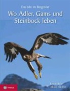 Erwin Hofer, Albert Mächler, Albert Mächler, Albert Mächler - Wo Adler, Gams und Steinbock leben
