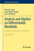 Pedro Gadea, Pedro M Gadea, Pedro M. Gadea, Jaime Mu Oz Masqu, Jaim Muñoz Masqué, Jaime Muñoz Masqué... - Analysis and Algebra on Differentiable Manifolds