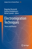 Boguslaw Buszewski, Ewelin Dziubakiewicz, Ewelina Dziubakiewicz, Michal Szumski - Electromigration Techniques