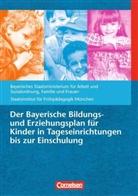 Wassilios E. Fthenakis - Der Bayerische Bildungs- und Erziehungsplan für Kinder in Tageseinrichtungen bis zur Einschulung