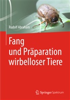 Rudolf Abraham - Fang und Präparation wirbelloser Tiere