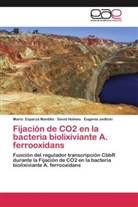 Mari Esparza Mantilla, Mario Esparza Mantilla, Davi Holmes, David Holmes, Eu Jedlicki, Eugenia Jedlicki - Fijación de CO2 en la bacteria biolixiviante A. ferrooxidans