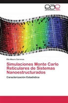 Elio Mauro Carreras - Simulaciones Monte Carlo Reticulares de Sistemas Nanoestructurados