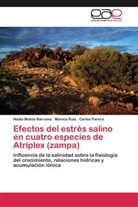 Nadia Melis Bárcena, Nadia Melisa Bárcena, Carlos Parera, Mónic Ruiz, Mónica Ruiz - Efectos del estrés salino en cuatro especies de Atriplex (zampa)