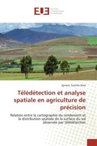 Soto-i, Ignacio Touriño Soto - Teledetection et analyse spatiale