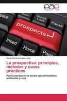 David Bernardo López Lluch - La prospectiva: principios, métodos y casos prácticos