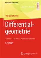 Wolfgang Kühnel, Wolfgang (Prof.) Kühnel, Pete Gritzmann (Prof. Dr.), Peter Gritzmann (Prof. Dr.), Mehrmann (Prof. Dr.) - Differentialgeometrie