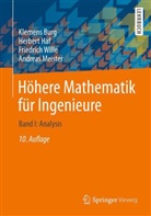 Klemen Burg, Klemens Burg, Herber Haf, Herbert Haf, Andreas u a Meister, Friedrich Wille - Höhere Mathematik für Ingenieure - 1: Analysis