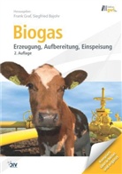 Bajoh, Bajohr, Bajohr, Siegfried Bajohr, Gra, Fran Graf... - Biogas, m. DVD-ROM (eBook)