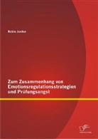 Robin Junker - Zum Zusammenhang von Emotionsregulationsstrategien und Prüfungsangst
