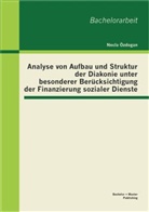 Necla Özdogan - Analyse von Aufbau und Struktur der Diakonie unter besonderer Berücksichtigung der Finanzierung sozialer Dienste