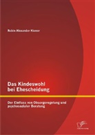 Robin A. Kiener, Robin Alexander Kiener - Das Kindeswohl bei Ehescheidung