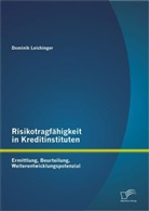 Dominik Leichinger - Risikotragfähigkeit in Kreditinstituten