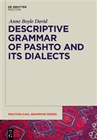Anne David, Anne Boyle David, Claudi Brugman, Claudia Brugman - Descriptive Grammar of Pashto and its Dialects
