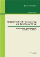 Sascha Pfeiffer - Israel zwischen Sechstagekrieg und Yom-Kippur-Krieg