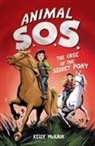 Kelly McKain, Katy Jackson - Case of the Secret Pony