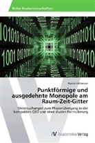 Roman Höllwieser - Punktförmige und ausgedehnte Monopole am Raum-Zeit-Gitter