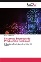 Carlos P Odriozola, Carlos P. Odriozola - Sistemas Técnicos de Producción Cerámica