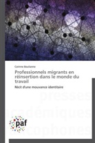 Corinne Boulianne, Boulianne-c - Professionnels migrants en