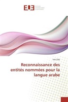 Inès Zribi, Zribi-i - Reconnaissance des entites