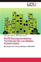 No Gaspar Sánchez, Noé Gaspar Sánchez, María Estela Orozco - Perfil Socioeconómico-Territorial De Los Nodos Comerciales