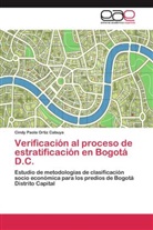 Cindy Paola Ortiz Cabuya - Verificación al proceso de estratificación en Bogotá D.C.