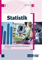 Josef Puhani - Statistik