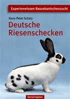 Hans P Scholz, Hans-P Scholz, Hans-Peter Scholz - Deutsche Riesenschecken